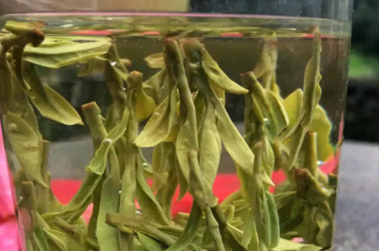 什么綠茶最香最好喝，綠茶口感與香氣排名