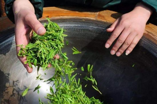 300塊錢的金駿眉能喝嗎，兩三百多金駿眉和一千多區(qū)別