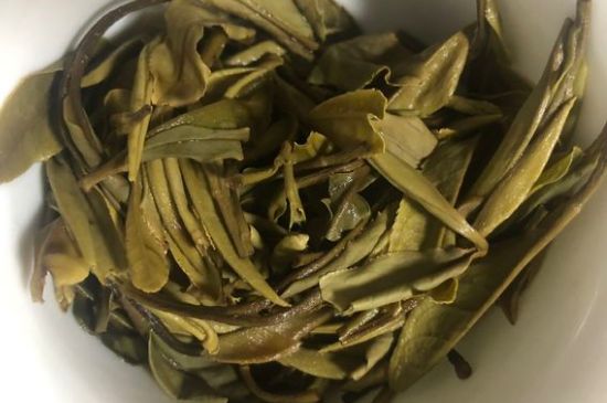 三年白茶賽砒霜，這是真的嗎？