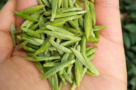 什么綠茶味道濃香，那個(gè)綠茶比較濃香？