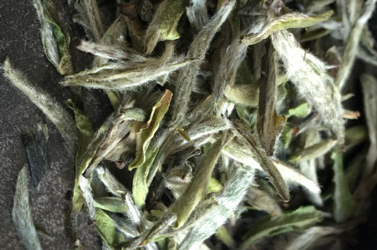 白毫銀針年份久的有什么香，陳年白毫銀針的香氣