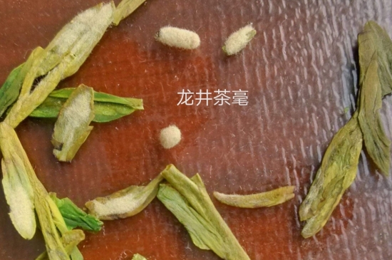 西湖龍井茶毫和發(fā)霉區(qū)別圖片，長霉的龍井茶葉會是什么樣？