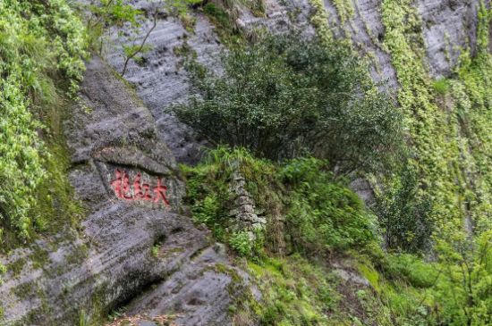 大紅袍為什么沒保質(zhì)期，武夷巖茶大紅袍能放幾年？