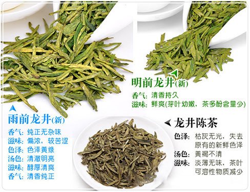 西湖龍井新茶和陳茶的區(qū)別，怎么區(qū)分龍井新茶和舊茶？