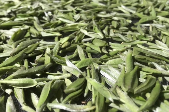 白毫銀針年份久的有什么香，陳年白毫銀針的香氣