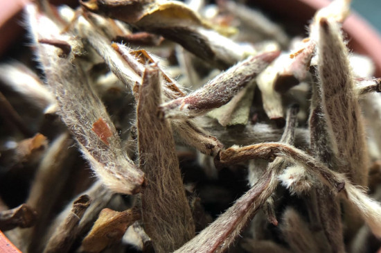 白毫銀針年份越久越好嗎，銀針白毫是否越陳越好