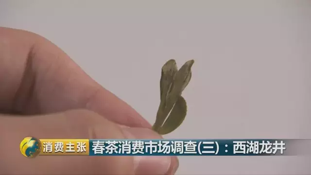 龍井群體種和43號(hào)的區(qū)別圖片，龍井43和群體種哪個(gè)好喝？