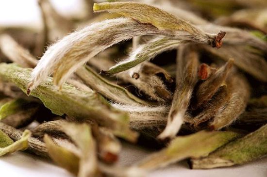 荒野銀針有什么特點，荒野銀針的味道口感咋樣？