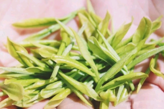 龍井是明前的好還是雨前的好，明前茶和雨前茶哪個好喝？