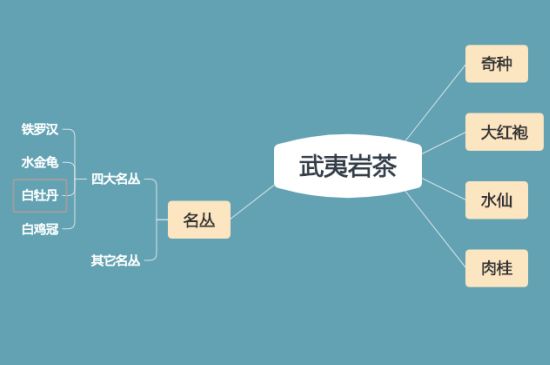 武夷巖茶品種大全，巖茶有幾種？