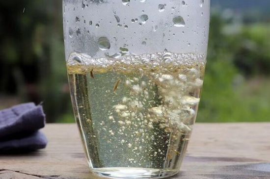 三年白茶賽砒霜，這是真的嗎？