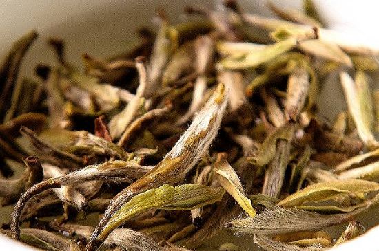 荒野銀針市場價多少，真正的荒野白毫銀針多少錢？