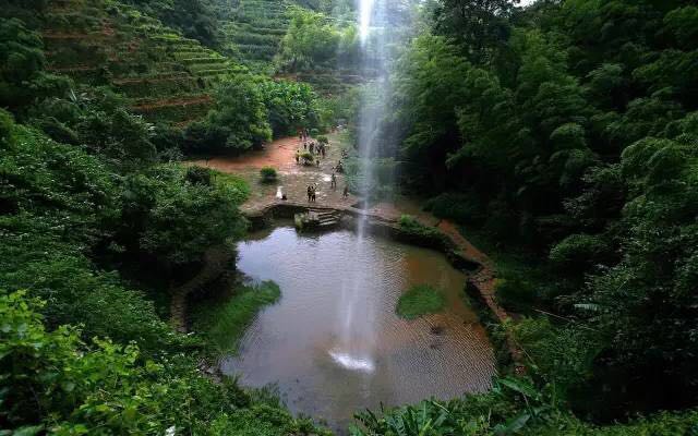 武夷山為什么盛產(chǎn)茶葉，武夷山茶為什么好喝？