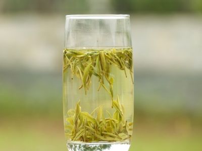 霍山黃芽算是好茶嗎，霍山黃芽屬于什么茶？