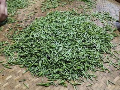 金駿眉幾年可以算陳茶，金駿眉新茶好還是老茶