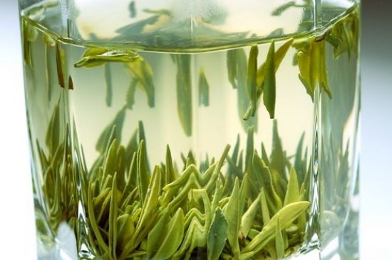 竹葉青和雀舌哪個貴，竹葉青茶貴嗎？