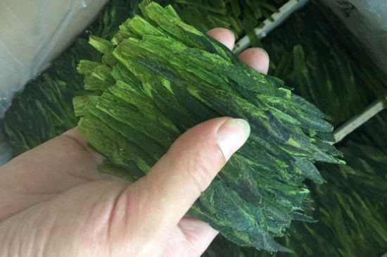 什么綠茶味道濃香，那個(gè)綠茶比較濃香？