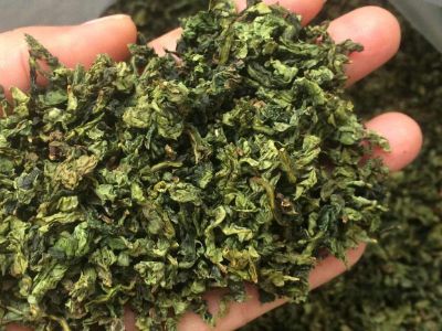 鐵觀音毛茶茶?？梢耘菟葐?，鐵觀音帶梗是不是好茶？