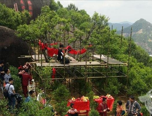 宋種一號價值為什么高，鳳凰單樅宋種1號價格與產量多少？