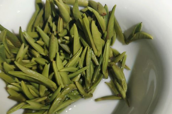 竹葉青茶怎么泡，竹葉青如何沖泡