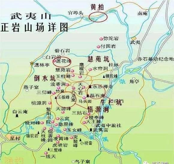 肉桂茶和大紅袍哪個貴，武夷山肉桂與大紅袍的價格比較