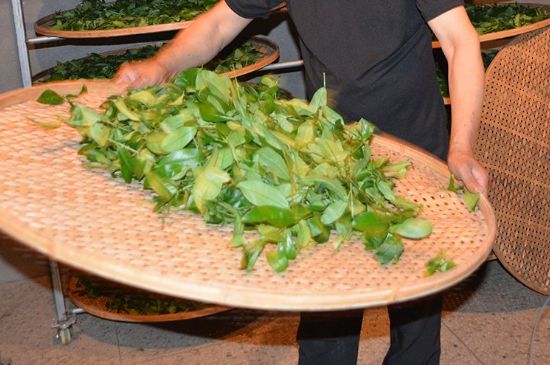 鐵觀音加香精騙局，鐵觀音的香味是添加香精了嗎？