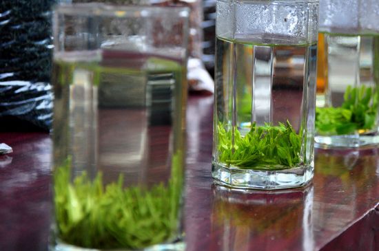 綠茶放了三年還能喝嗎，綠茶放久了喝了會怎樣