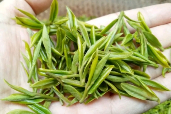 什么是雪前龍井茶，明前、雨前、雨后龍井有什么區(qū)別？