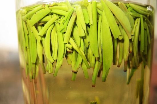 雀舌為何喝著是苦的，雀舌味道怎么那么苦澀？