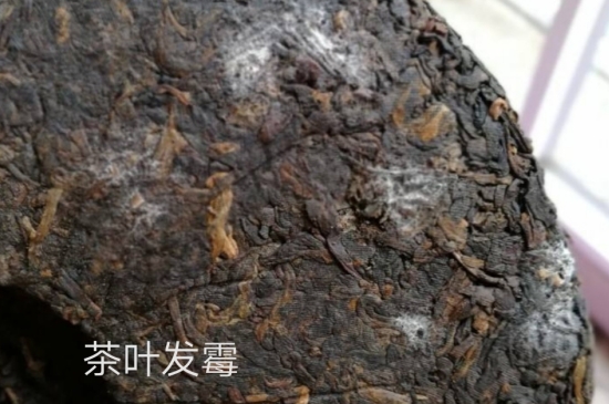 西湖龍井茶毫和發(fā)霉區(qū)別圖片，長霉的龍井茶葉會是什么樣？